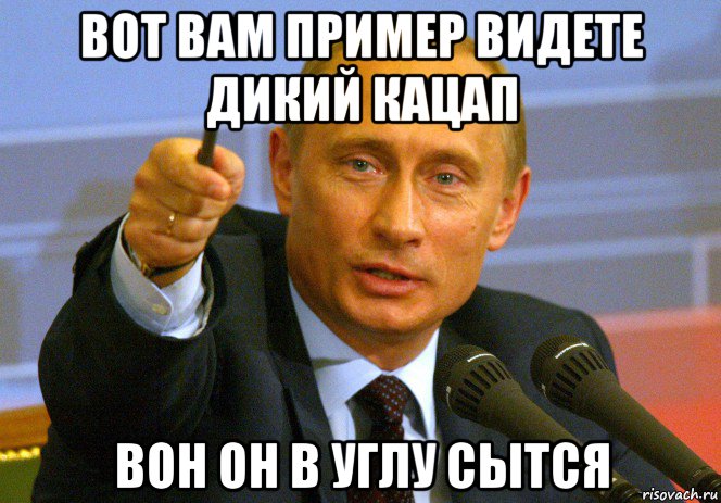 вот вам пример видете дикий кацап вон он в углу сытся, Мем Путин