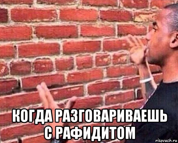  когда разговариваешь с рафидитом, Мем разговор со стеной