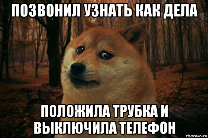 позвонил узнать как дела положила трубка и выключила телефон, Мем SAD DOGE