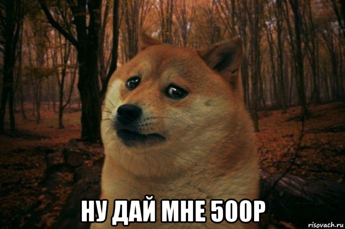  ну дай мне 500р, Мем SAD DOGE