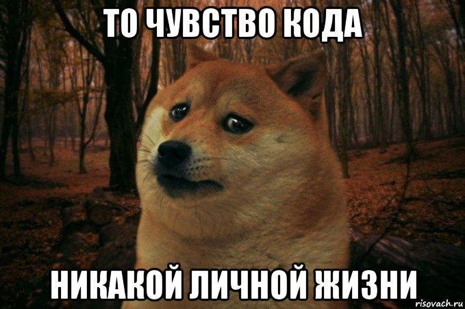 то чувство кода никакой личной жизни, Мем SAD DOGE