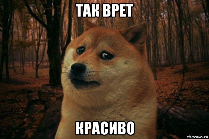 так врет красиво, Мем SAD DOGE