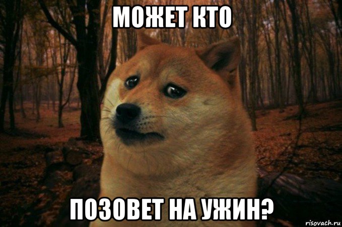 может кто позовет на ужин?, Мем SAD DOGE