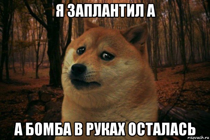 я заплантил а а бомба в руках осталась, Мем SAD DOGE