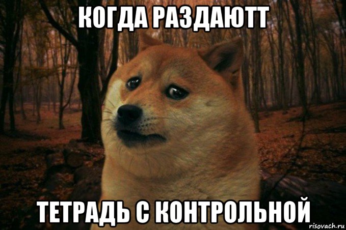 когда раздаютт тетрадь с контрольной, Мем SAD DOGE