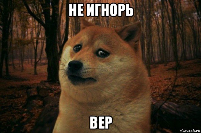 не игнорь вер, Мем SAD DOGE