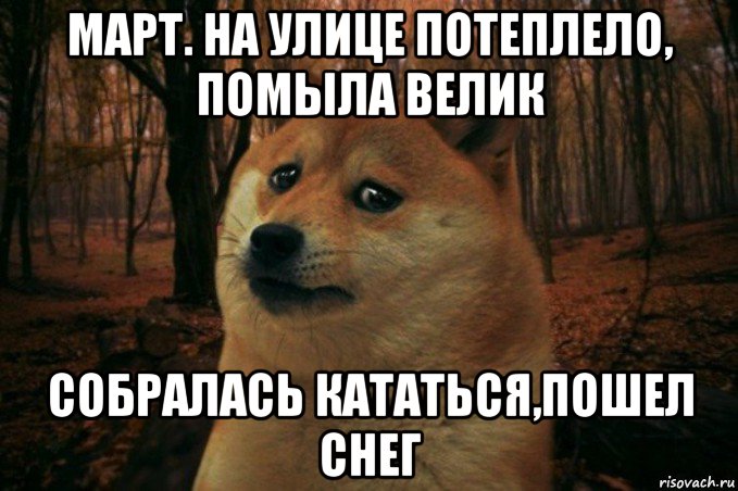 март. на улице потеплело, помыла велик собралась кататься,пошел снег, Мем SAD DOGE