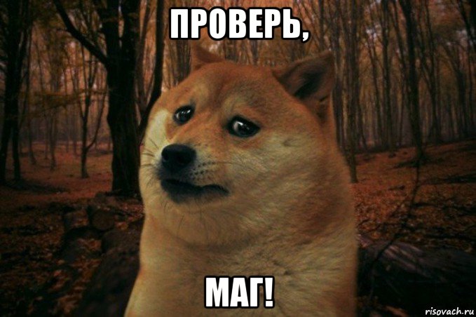 проверь, маг!, Мем SAD DOGE