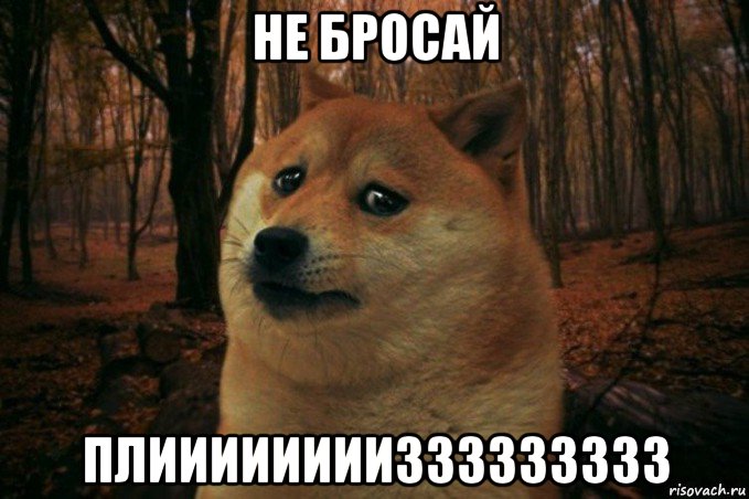 не бросай плииииииииззззззззз, Мем SAD DOGE