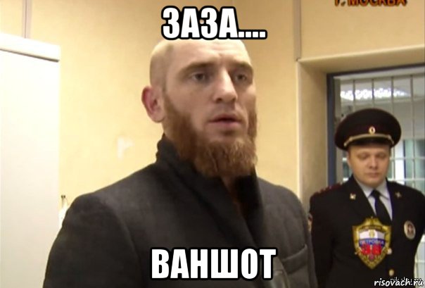 заза.... ваншот, Мем Шучу