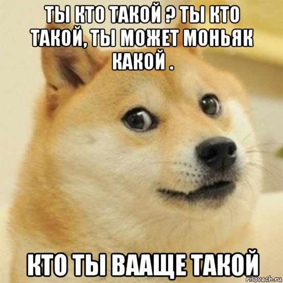 ты кто такой ? ты кто такой, ты может моньяк какой . кто ты вааще такой, Мем  Собака удивлена