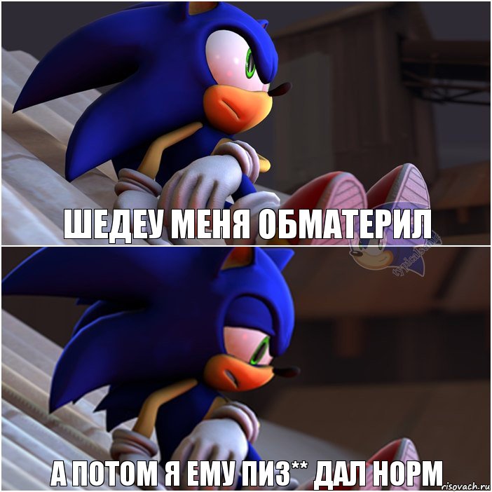 шедеу меня обматерил а потом я ему пиз** дал норм, Комикс Sonic 1