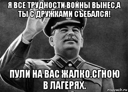 я все трудности войны вынес,а ты с дружками съебался! пули на вас жалко.сгною в лагерях., Мем сталин расстрелять