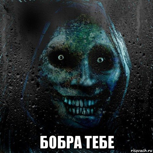  бобра тебе