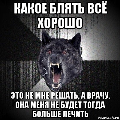 какое блять всё хорошо это не мне решать, а врачу, она меня не будет тогда больше лечить, Мем Сумасшедший волк