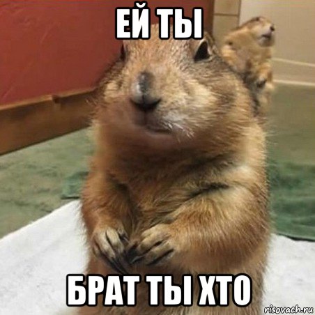 ей ты брат ты хто