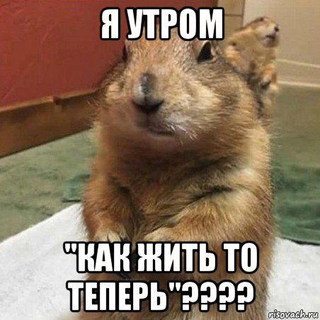 я утром "как жить то теперь"????