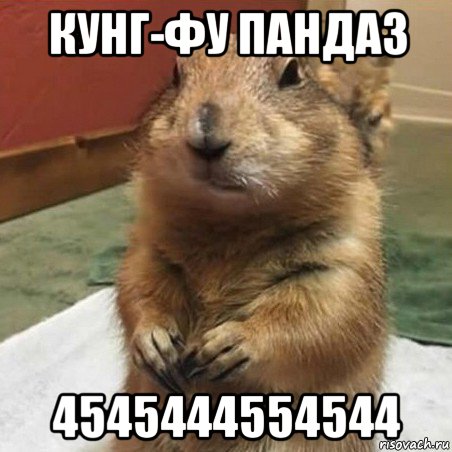 кунг-фу панда3 4545444554544, Мем Суслик спрашивает