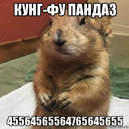 кунг-фу панда3 45564565564765645655, Мем Суслик спрашивает