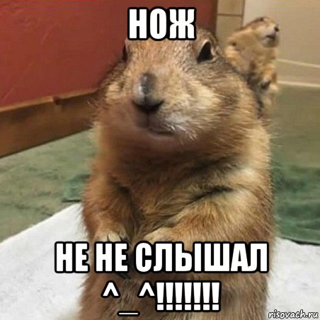 нож не не слышал ^_^!!!!!!!, Мем Суслик спрашивает