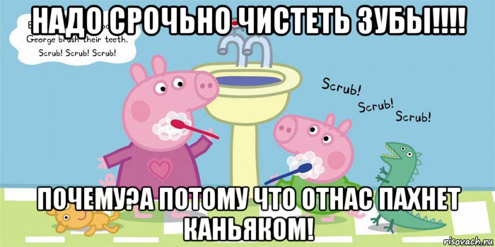 надо срочьно чистеть зубы!!!! почему?а потому что отнас пахнет каньяком!, Мем  Свинка