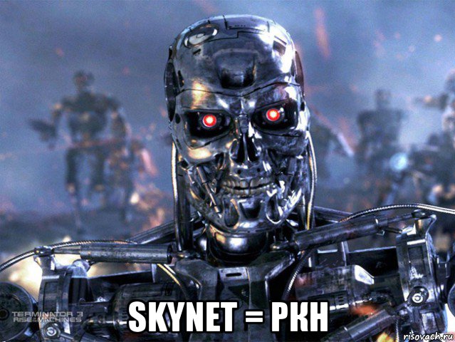  skynet = ркн