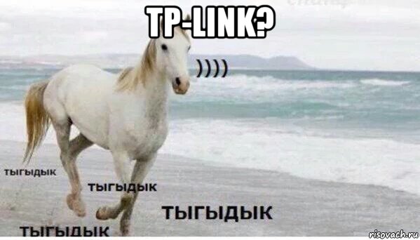 tp-link? , Мем   Тыгыдык