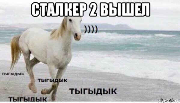 сталкер 2 вышел , Мем   Тыгыдык