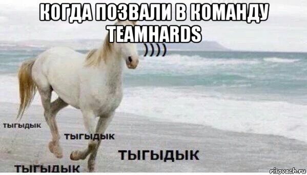 когда позвали в команду teamhards , Мем   Тыгыдык