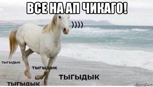 все на ап чикаго! , Мем   Тыгыдык