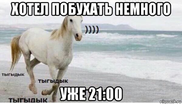 хотел побухать немного уже 21:00, Мем   Тыгыдык