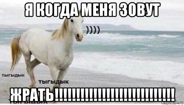 я когда меня зовут жрать!!!!!!!!!!!!!!!!!!!!!!!!!!!!, Мем   Тыгыдык