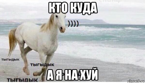 кто куда а я на хуй, Мем   Тыгыдык