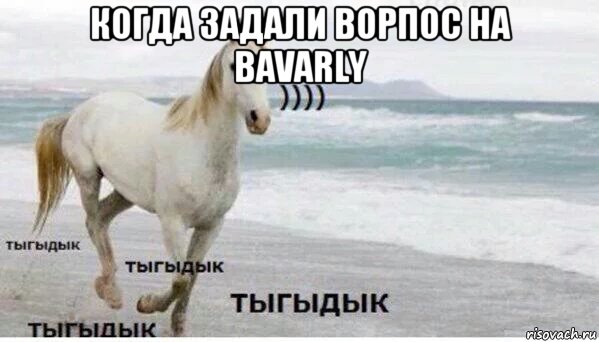 когда задали ворпос на bavarly , Мем   Тыгыдык