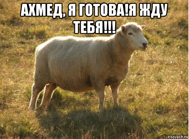 ахмед, я готова!я жду тебя!!! 