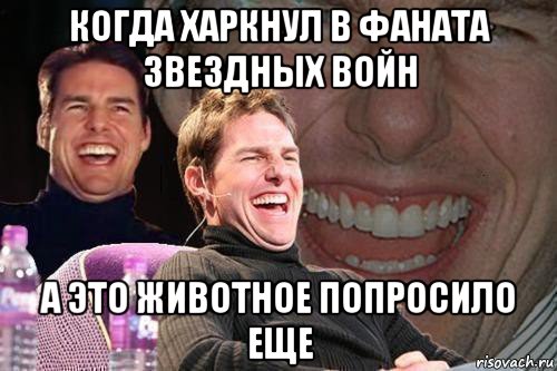 когда харкнул в фаната звездных войн а это животное попросило еще, Мем том круз