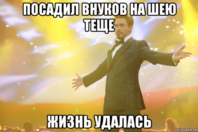 посадил внуков на шею теще жизнь удалась, Мем Тони Старк (Роберт Дауни младший)