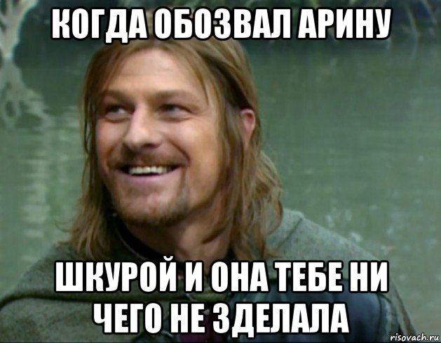 когда обозвал арину шкурой и она тебе ни чего не зделала, Мем Тролль Боромир