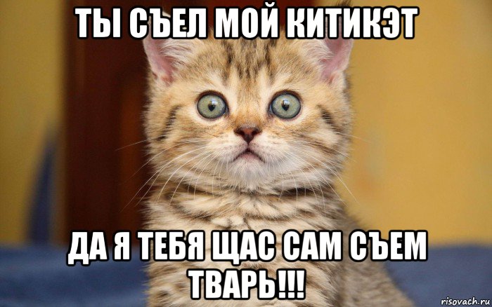 ты съел мой китикэт да я тебя щас сам съем тварь!!!, Мем  удивление