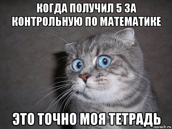 когда получил 5 за контрольную по математике это точно моя тетрадь, Мем  удивлённый кот