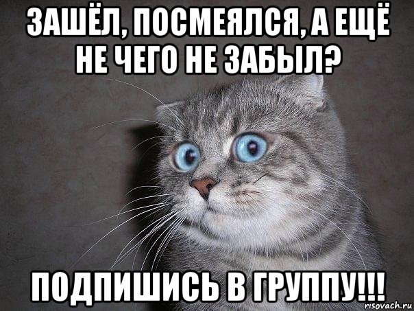 зашёл, посмеялся, а ещё не чего не забыл? подпишись в группу!!!, Мем  удивлённый кот