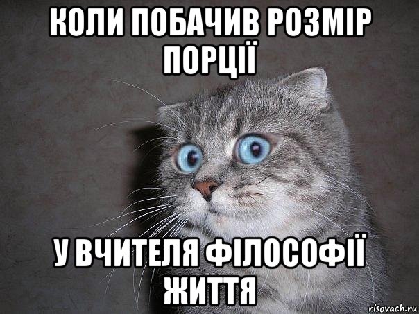 коли побачив розмір порції у вчителя філософії життя, Мем  удивлённый кот