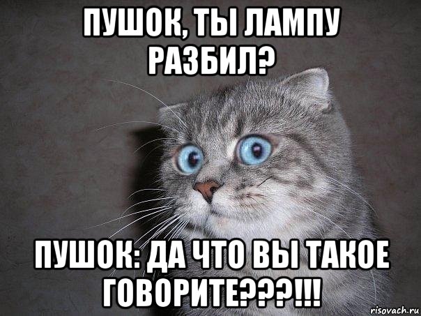 пушок, ты лампу разбил? пушок: да что вы такое говорите???!!!, Мем  удивлённый кот