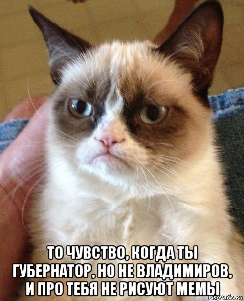  то чувство, когда ты губернатор, но не владимиров, и про тебя не рисуют мемы