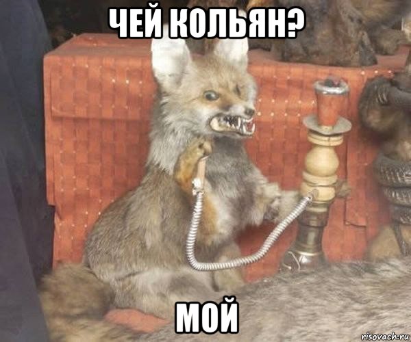 чей кольян? мой