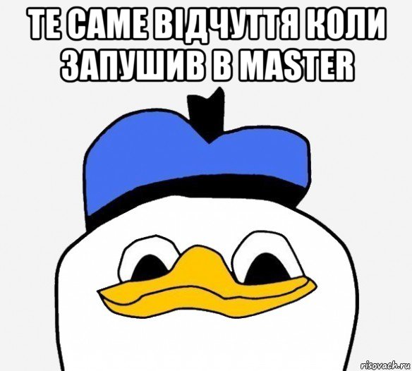 те саме відчуття коли запушив в master , Мем Утка