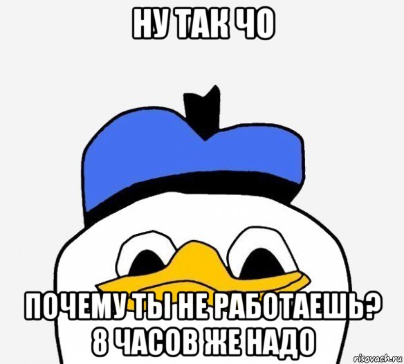 ну так чо почему ты не работаешь? 8 часов же надо, Мем Утка