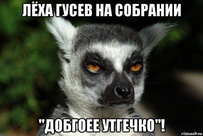 лёха гусев на собрании "добгоее утгечко"!, Мем   Я збагоен