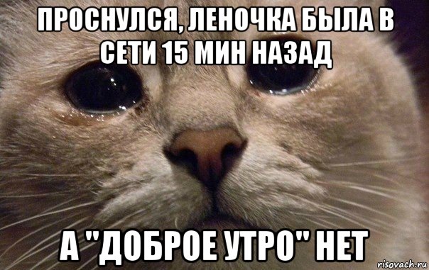 проснулся, леночка была в сети 15 мин назад а "доброе утро" нет, Мем   В мире грустит один котик