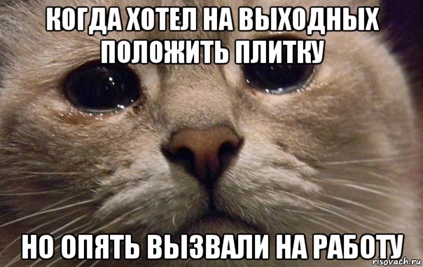 когда хотел на выходных положить плитку но опять вызвали на работу, Мем   В мире грустит один котик